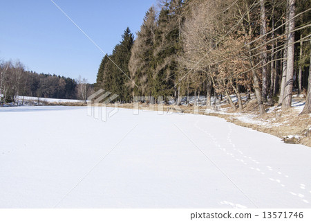 图库照片: pond under snow in winter