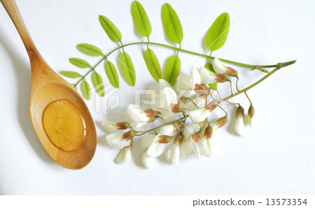 图库照片 acacia honey