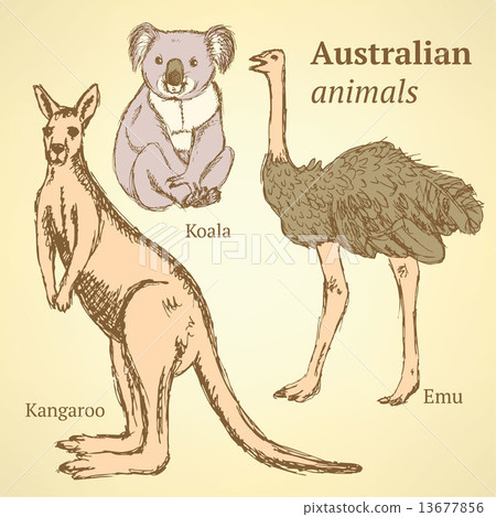 插图素材: sketch australian animals in vintage style