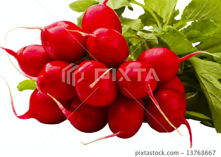 图库照片: red radish