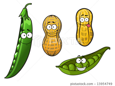 插图素材: cartoon opened green pea pods and peanuts in shells