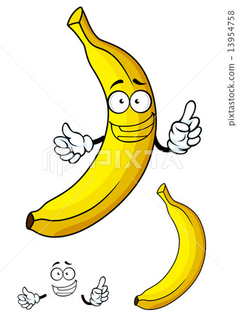 插图素材 fresh tropical banana fruit in cartoon style