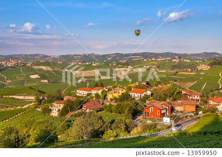 图库照片: small town and vineyards in italy.