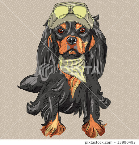 插图素材 vector cute hipster dog cavalier king charles spaniel