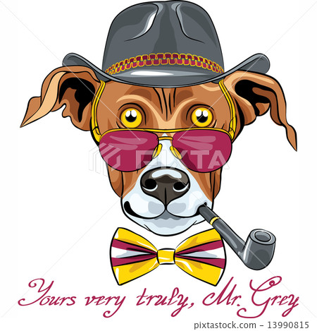 图库插图 vector funny cartoon hipster greyhound dog breed