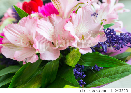 图库照片: flower bouquet with a lot of different flowers