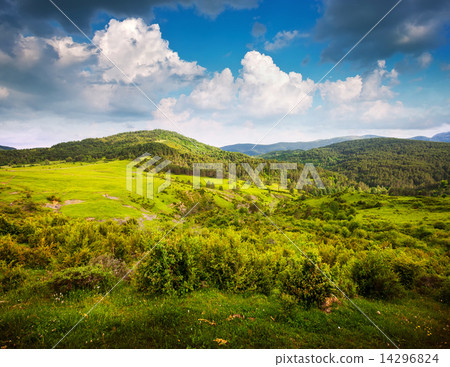 图库照片: summer view of pyrenees mountains. aragon