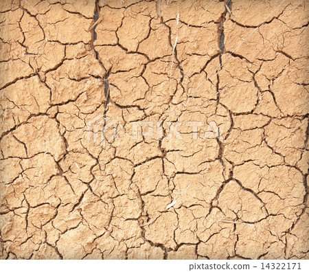 图库照片: drought the ground cracks