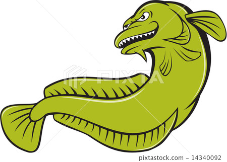 Footcartoonfish,Footcartoonfish 插图素材: burbot fish angry cartoon