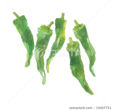 插图素材: wanpaku辣椒