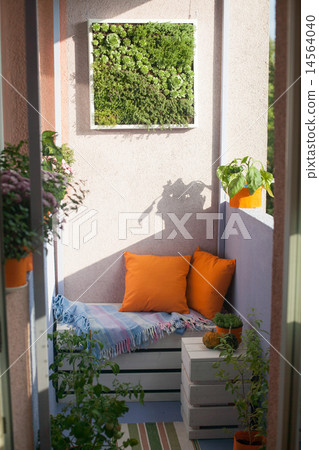 图库照片: house plants on the balcony