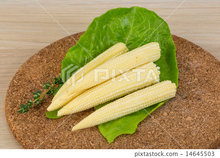 图库照片: baby corn