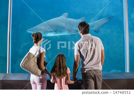 图库照片: happy family looking at shark
