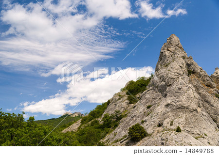 图库照片 rocky mountain peak in the forest