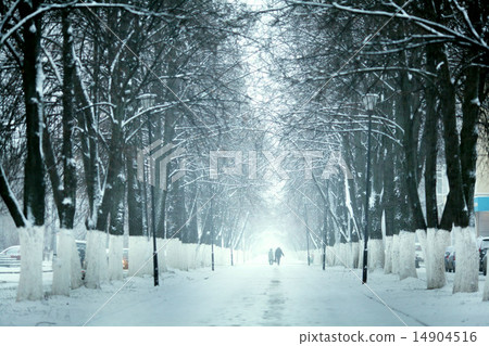 图库照片: cold winter forest landscape snow