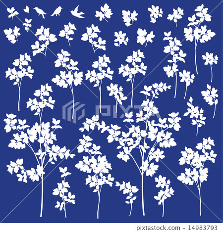 Plants Of Illas Stock Illustration Pixta