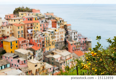 照片素材(图片): manarola village in cinque terre