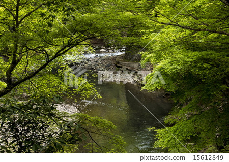 图库照片 清滝川 峡谷 山谷