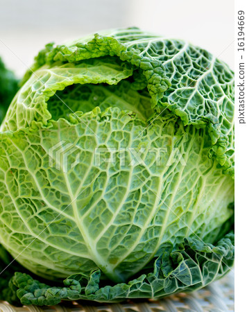 图库照片: savoy cabbage