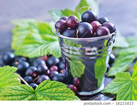 图库照片: black currant