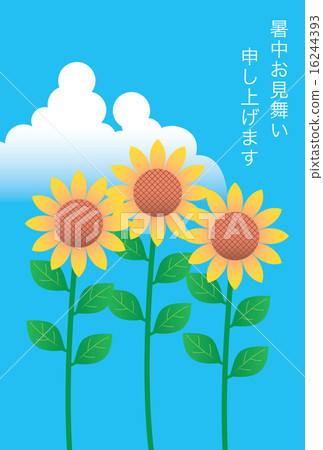 植物/花 向日葵 插图 向日葵的炎热天气同情 首页 插图 植物/花