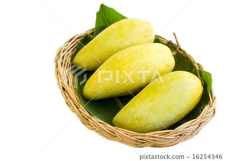 图库照片: three big mango fruit on basket, isolated on white