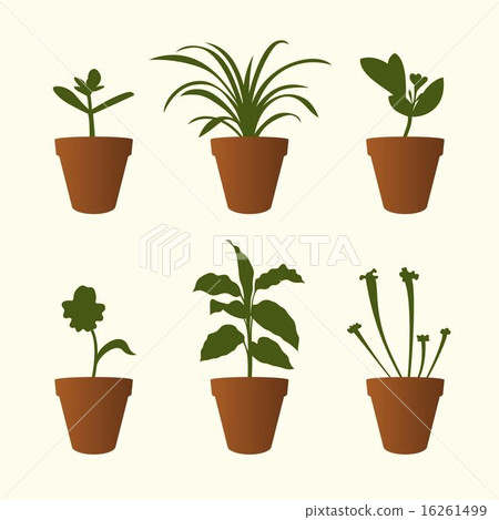 插图素材: plants in flowerpots