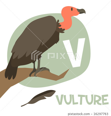 v is vulture