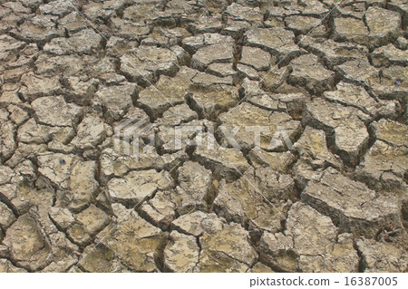 图库照片: texture of cracked soil ground