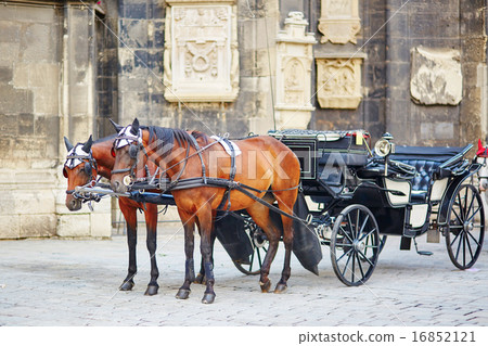 图库照片: horse-driven carriage in vienna, austria