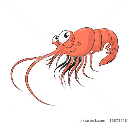 图库插图: shrimp