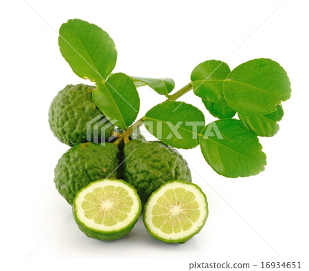 照片素材(图片): kaffir lime with leaves