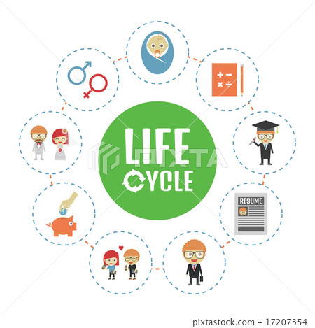 插图素材: life cycle