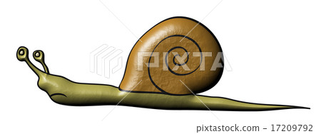 插图素材: snail - slowly animal 查看全部