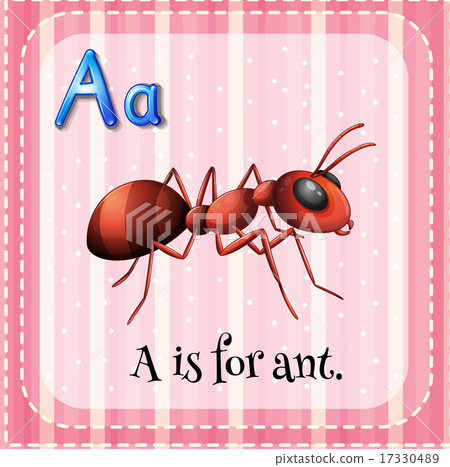 图库插图 flashcard a is for ant