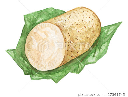 插图素材: 山药 食品 原料 查看全部