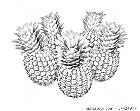 插图素材: pineapples