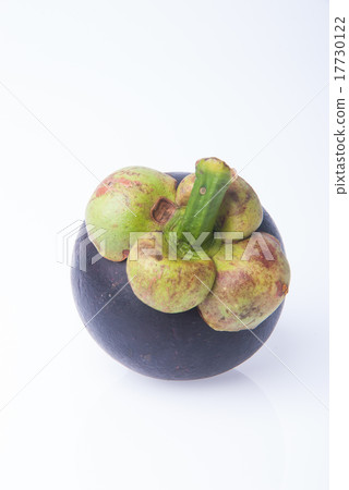 图库照片: mangosteen fruit