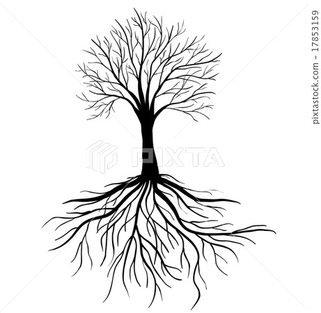 插图素材: tree with roots