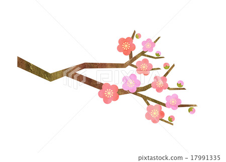 图库插图: 梅花枝