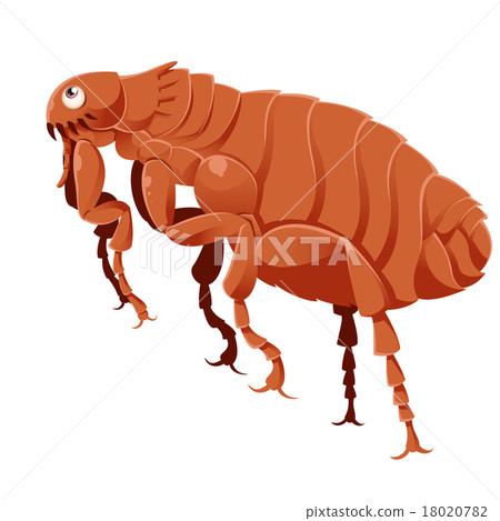 图库插图: cartoon flea