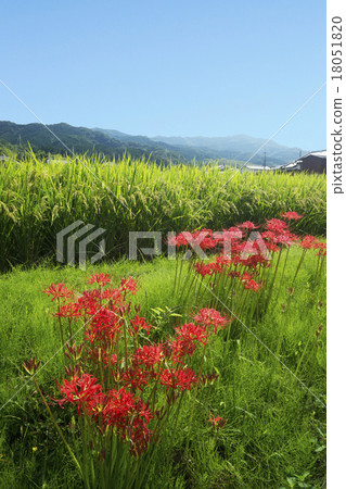 图库照片: 山的路边秋天风景