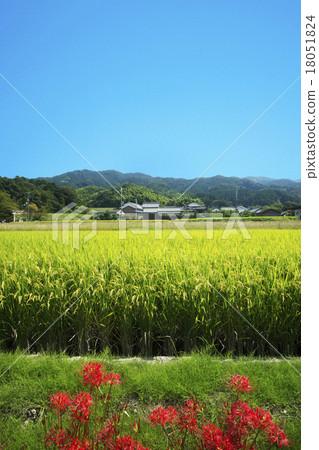 图库照片: 山的路边秋天风景