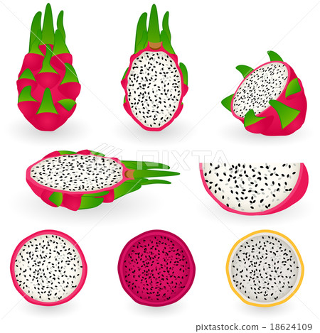 插图素材: dragon fruit