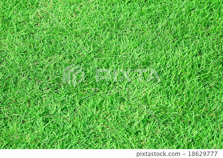 图库照片: green grass