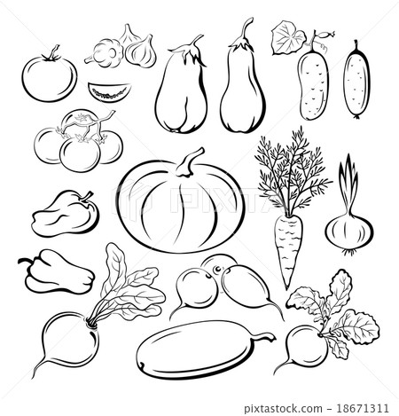 插图素材: vegetables outline pictograms set