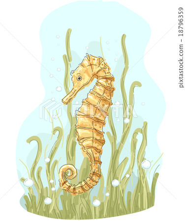 插图素材: sea horse 查看全部