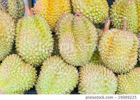 图库照片: durian , fruit in the market of thailand