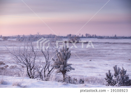 图库照片: cold winter morning