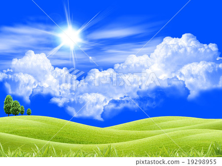 图库照片: green wheat field, white clouds, blue sky